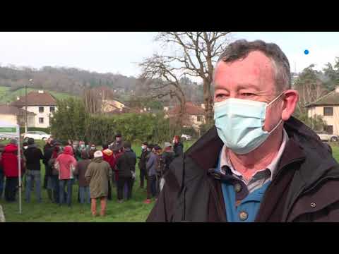 Corrèze : initiation à la taille des arbres fruitiers