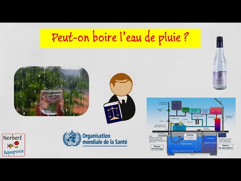 💦 Peut on boire l'eau de pluie ?