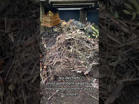 L'évolution du compost !