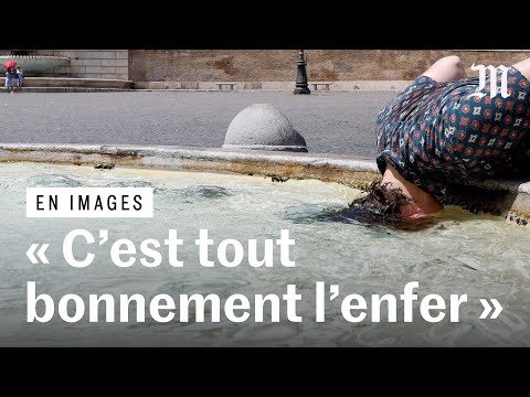 Une violente canicule s'installe dans plusieurs pays
