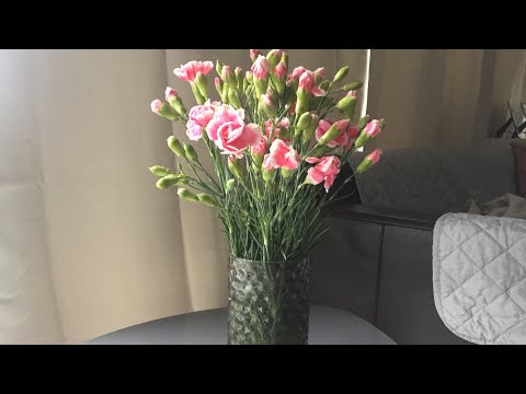 Comment conserver son bouquet de fleurs plus longtemps 🏠