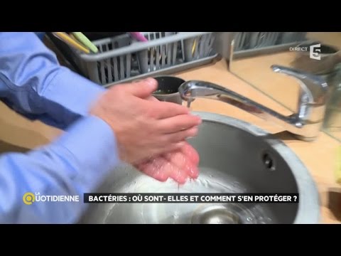 Bactéries : où sont-elles et comment s'en protéger ?