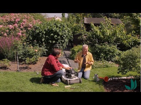 Comment entretenir sa tondeuse à gazon ? - Truffaut