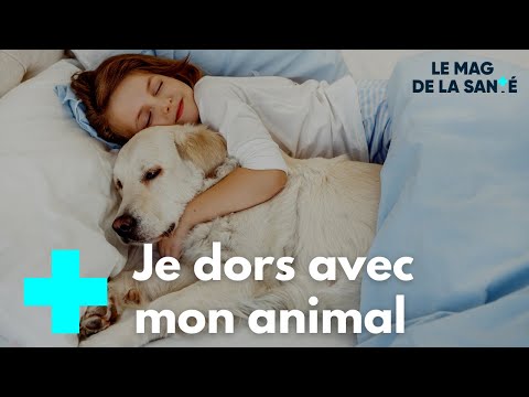 Dormir avec son animal, une bonne idée ? - Le Magazine de la Santé