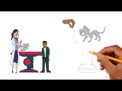 Les besoins des animaux - Association REVEZ