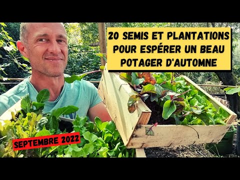 EN ROUTE VERS LE POTAGER D'AUTOMNE