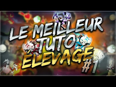 LE MEILLEUR TUTORIEL ÉLEVAGE SUR DOFUS ! #1