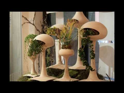 Idées jardin intérieur