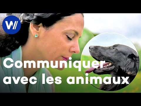 Dans la peau des animaux - Comment décoder leur langage et leurs émotions