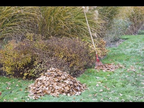Recycler les feuilles mortes au jardin