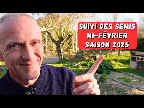 Suivi de tous les semis - Mi-février 2025