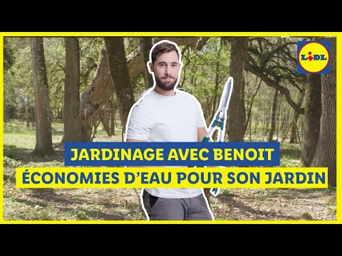 Jardinage 🌿 | Faites des économies d'eau avec Parkside  | Lidl France
