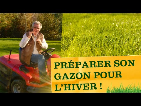 Comment entretenir son gazon avant l'hiver ? Pour un tapis vert au printemps !