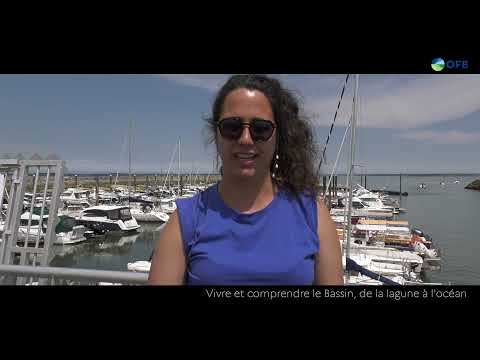 Vivre et comprendre le bassin d'Arcachon (version courte)