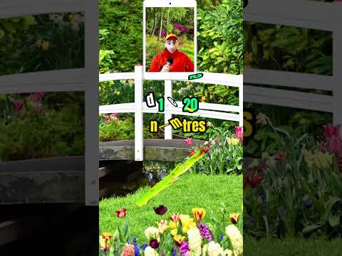 JARDINAGE:DEUX TRUCS ET ASTUCES LA COQUILE D'OEUF ET LES BOUTURES DE ROSIERS AVEC POMMES DE TERRE