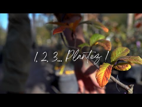 1, 2, 3… Plantez ! Rejoignez le défi !