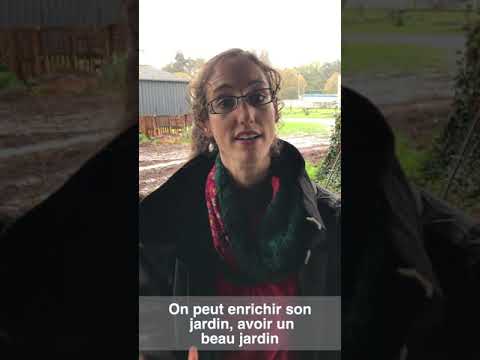 Des ateliers jardin zéro déchet dans la métropole de Rennes