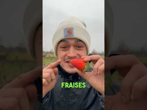 Préparer ses fraisiers pour cet été 🍓 #fraise #permaculture #plantes #potager #astuce