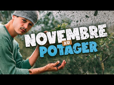 LE POTAGER DU MOIS DE NOVEMBRE - On range et on prépare !