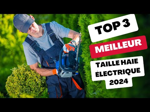 Meilleur taille-haie électrique 2024