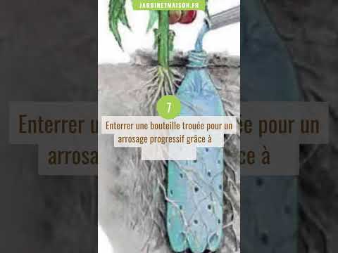 10 astuces que tous jardiniers devraient connaitre