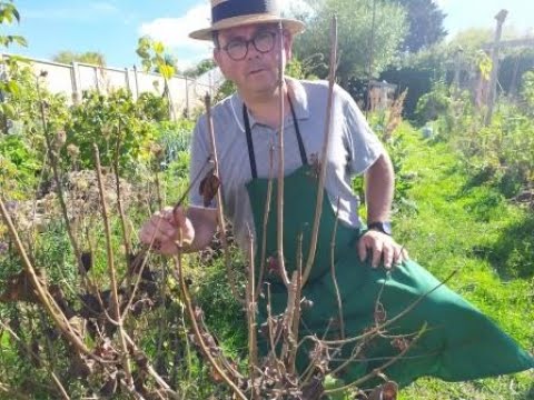 La SOLUTION contre la canicule au jardin !