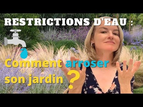 Sécheresse au jardin : comment arroser avec les restrictions d’eau ?!