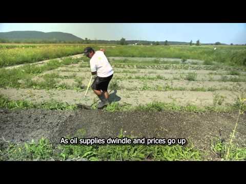 Les Jardins de Marie-Bio, a small-scale, organic farming incubator