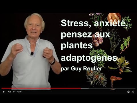 Vidéo Vaincre stress, anxiété, fatigue, déprime, grâce aux plantes adaptogènes ! par Guy Roulier