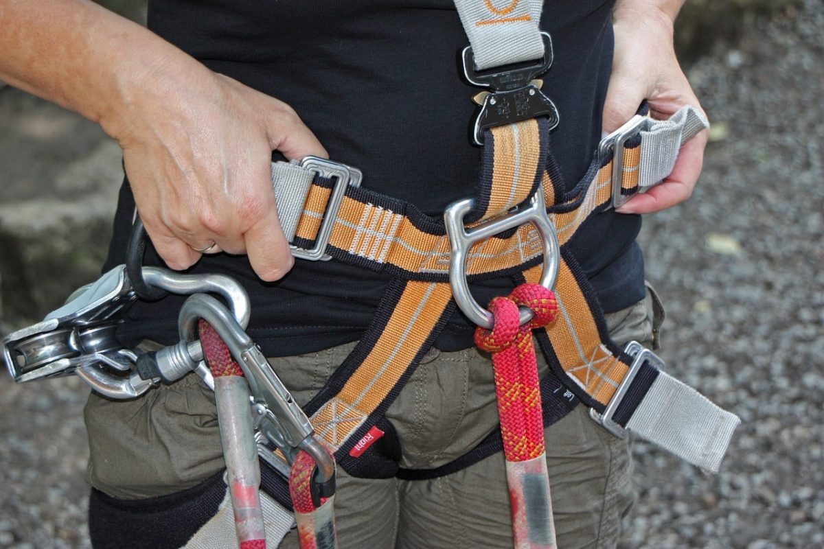 forest climbing park 931256 1280