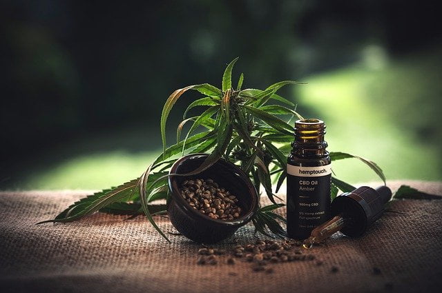 cbd ol 4473886 640