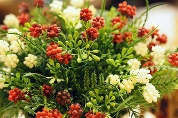 Plante artificielle