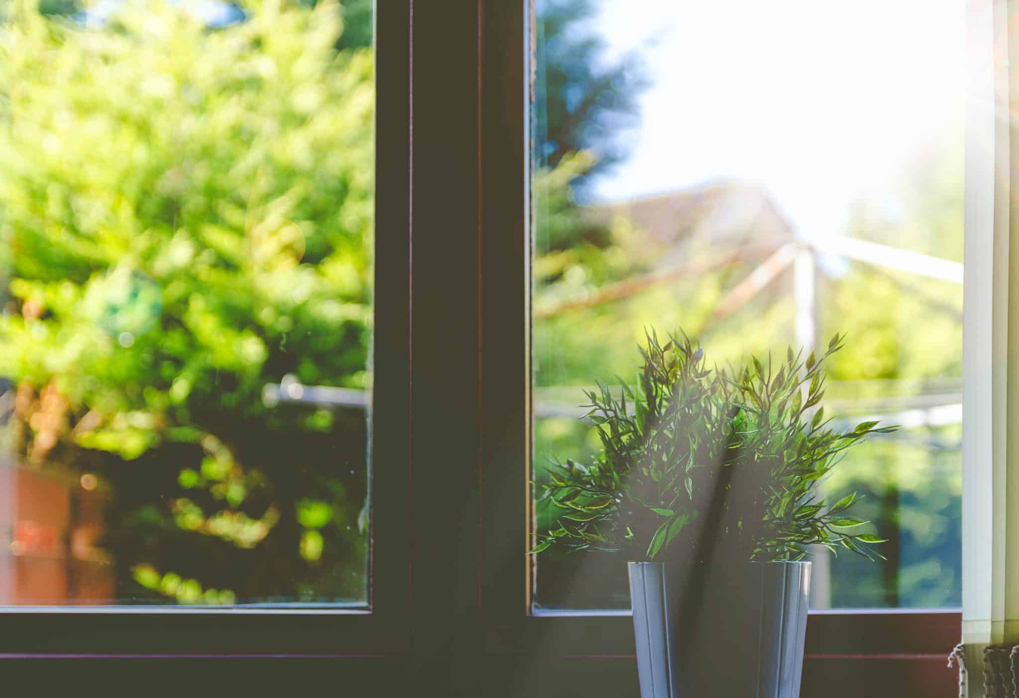 fenetre vue sur jardin