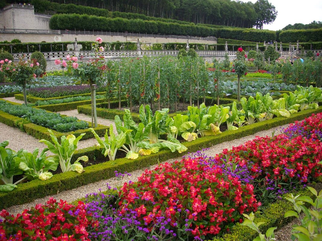 potager