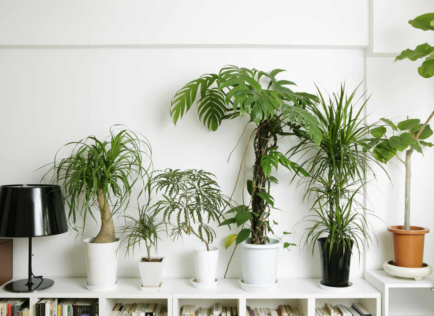 plants in white pots on a book, metal and wood together