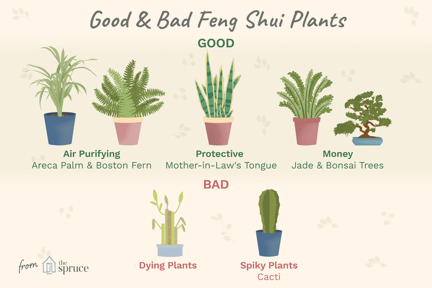 good and bad feng shui plants
