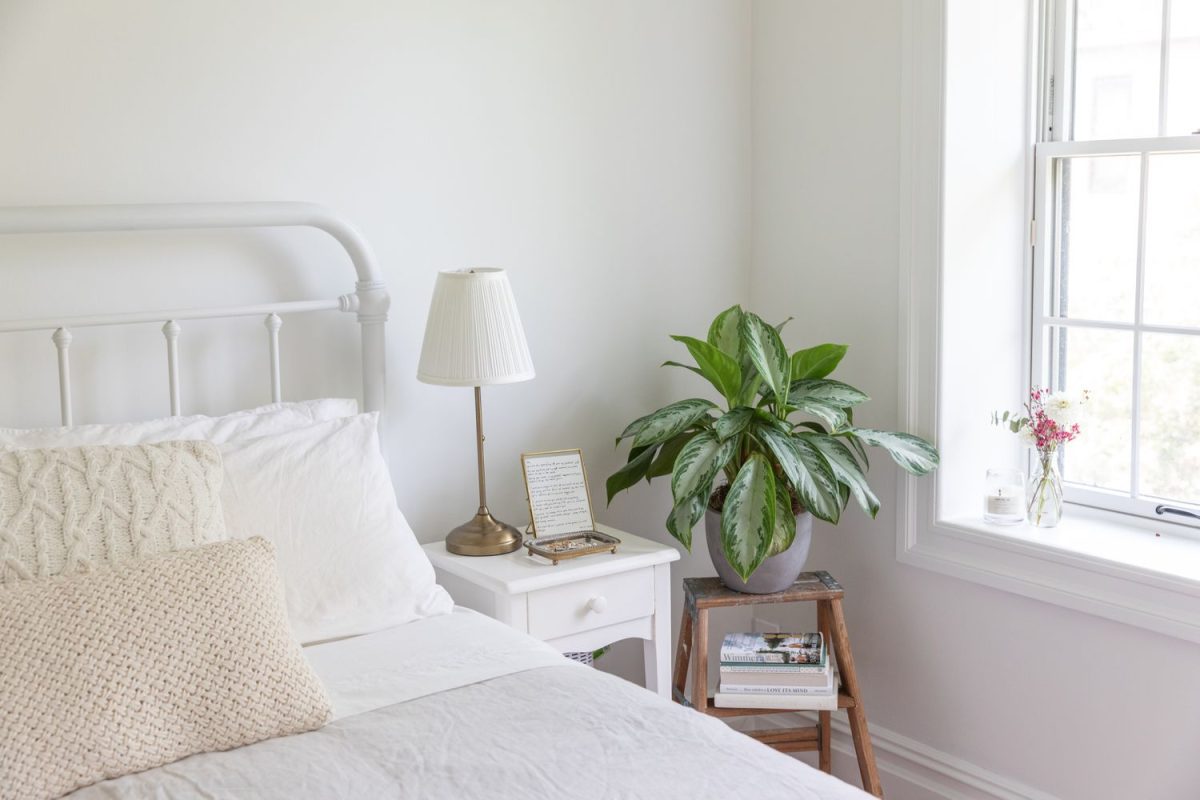 plants used in feng shui in the bedroom