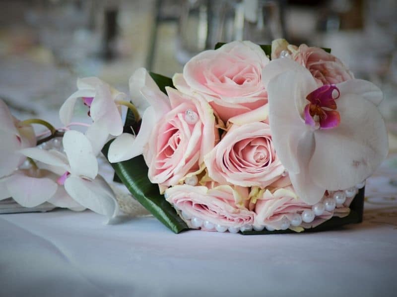 bouquet d'orchidées