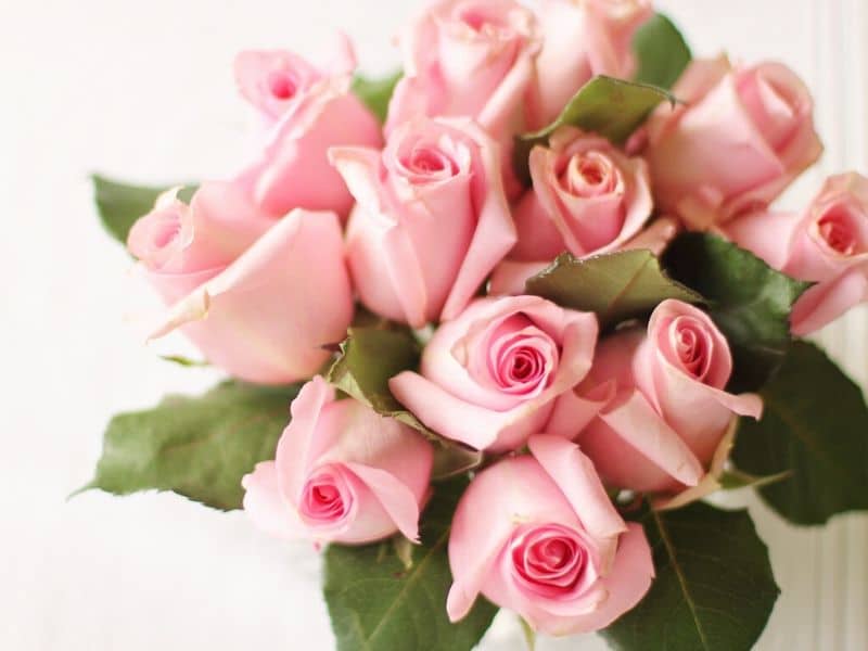 fleur de mariage rose