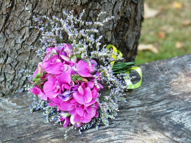 fleur de mariage pois de senteur