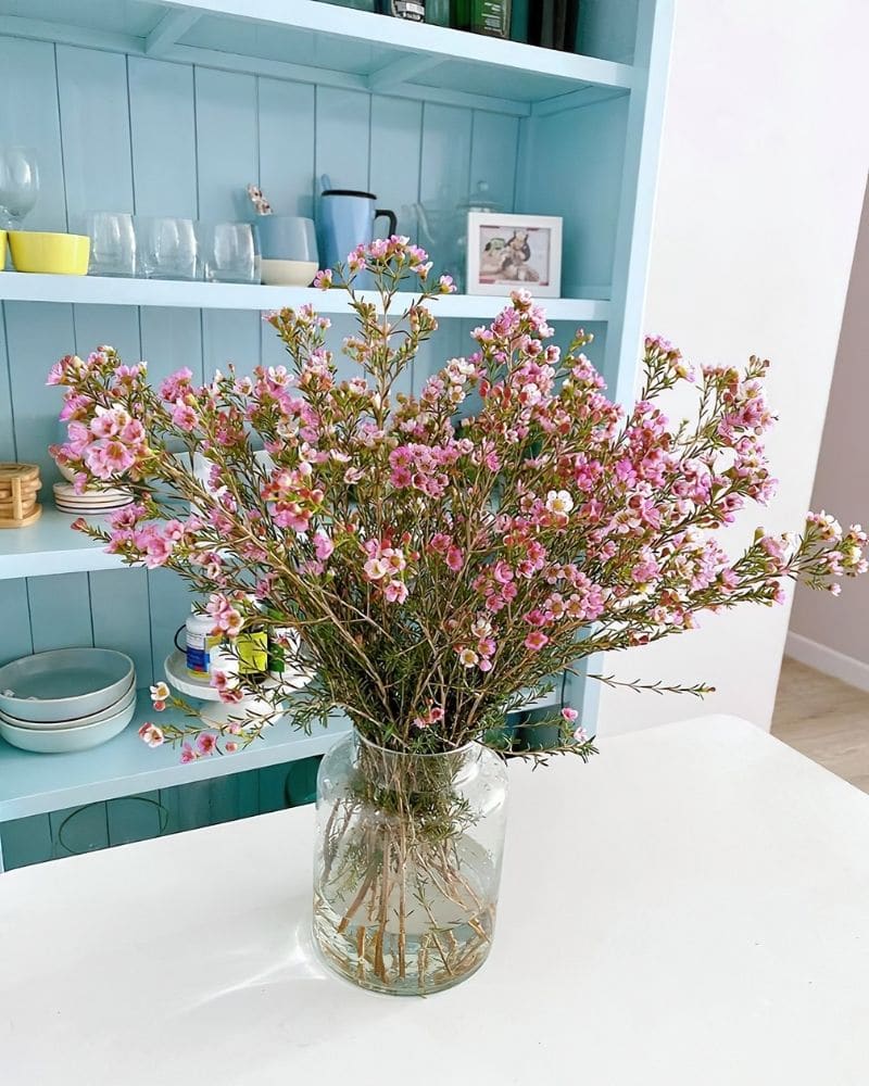 fleurs de cire dans un vase
