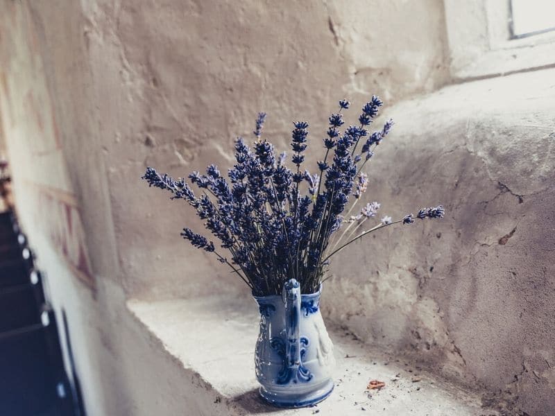 lavande dans un vase à fleurs