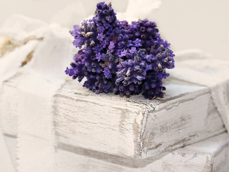 la lavande dans un livre