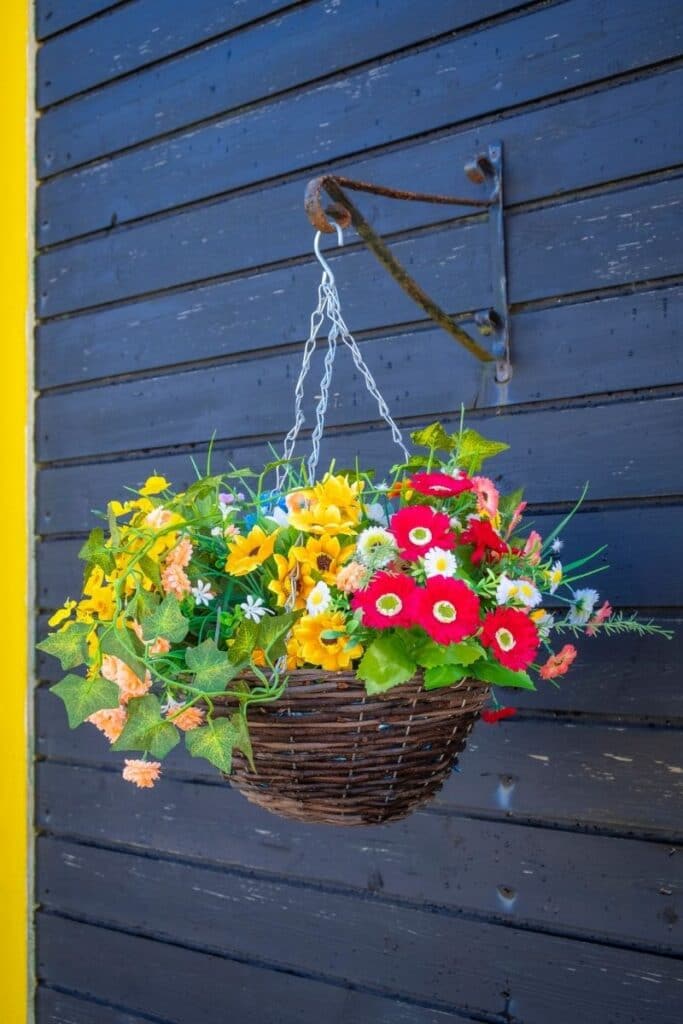 fleurs suspendues