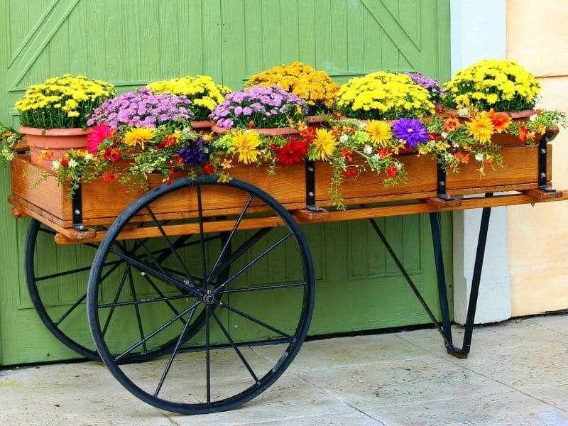 des fleurs dans un chariot