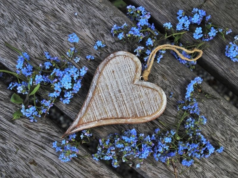fleurs forget me not avec coeur en bois