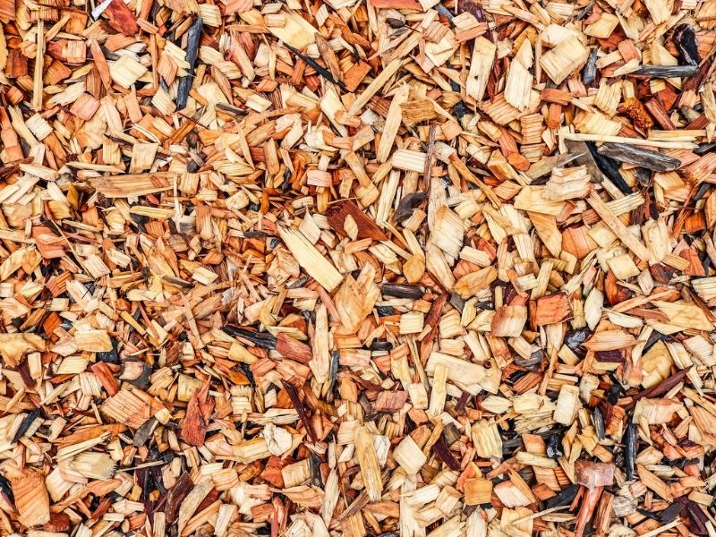 copeaux de bois