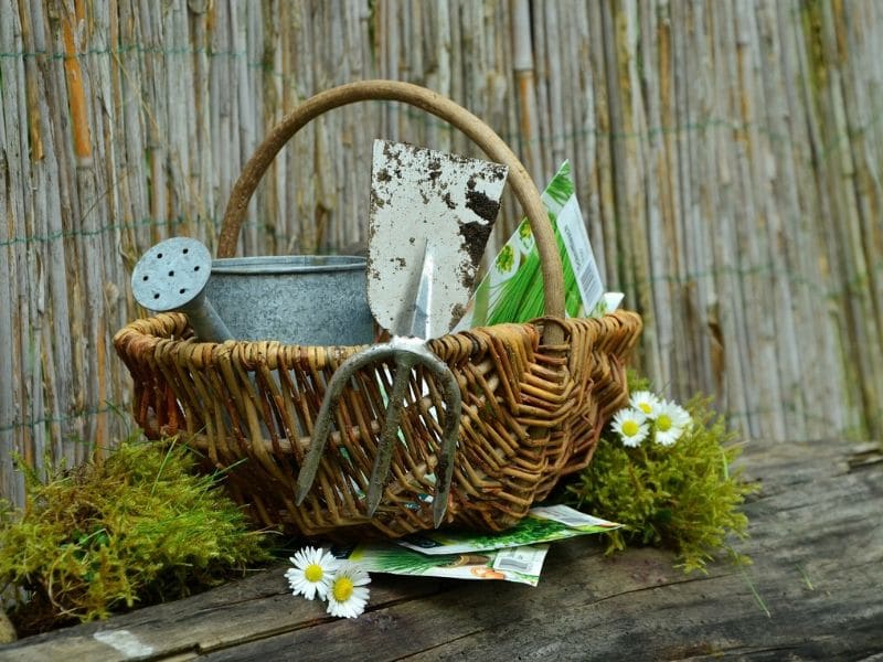 outils de jardin dans un panier