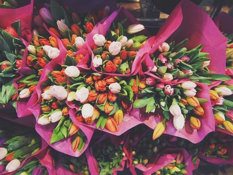 bouquet de tulipes