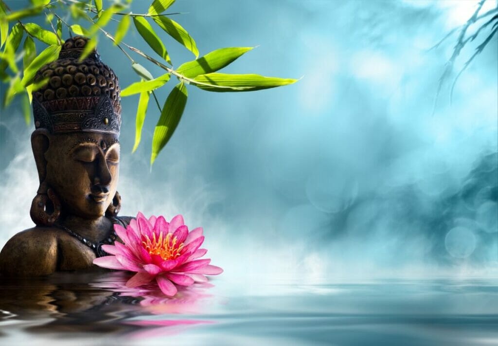 L'histoire et les origines de la signification de la fleur de lotus dans le bouddhisme